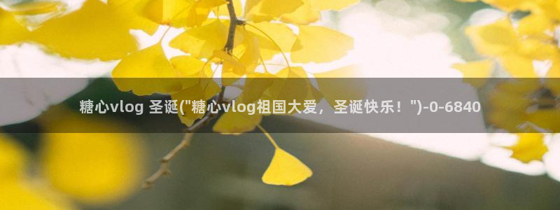 糖心vlog糖心