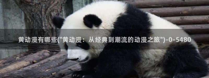 动漫视频