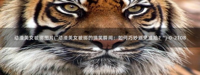 ace动漫