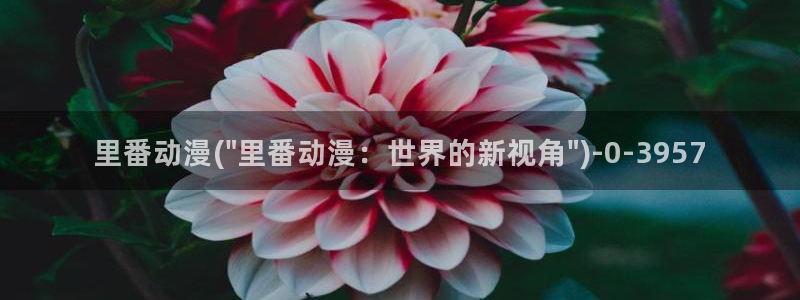 黄色动漫