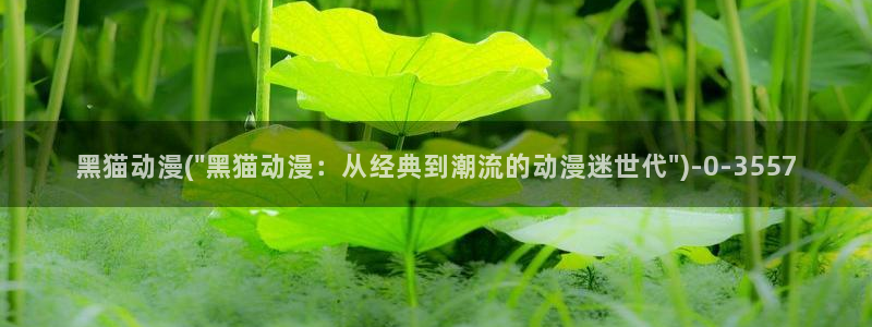 星辰变动漫
